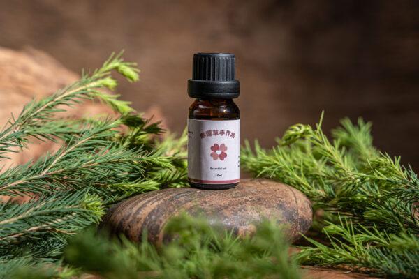 茶樹精油